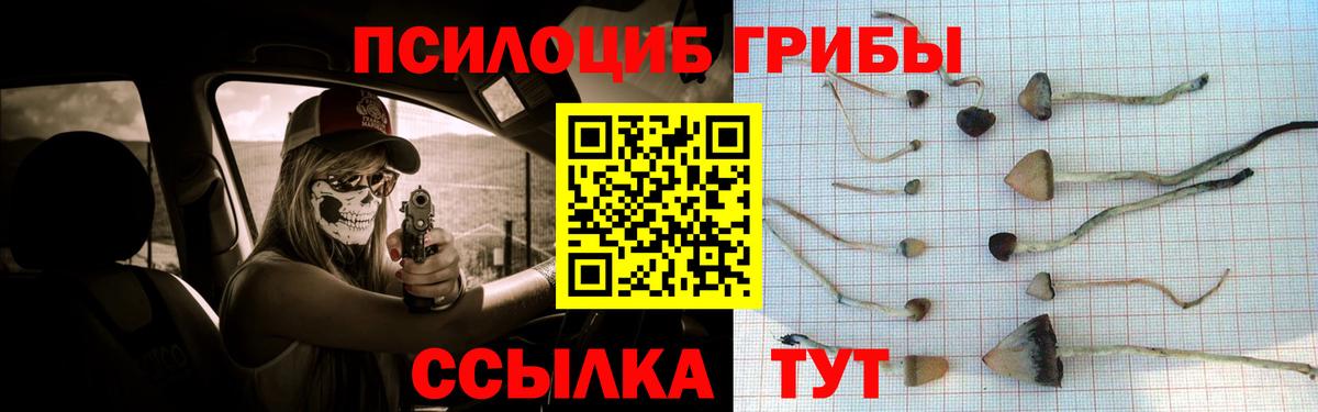 Еманжелинск  Псилоцибиновые грибы прущие грибы  Псилоцибиновые грибы Magic Shrooms  Вход с VPN 