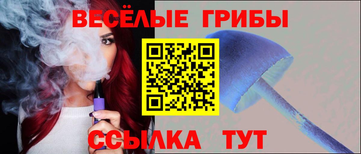 Псилоцибиновые грибы Psilocybe Еманжелинск